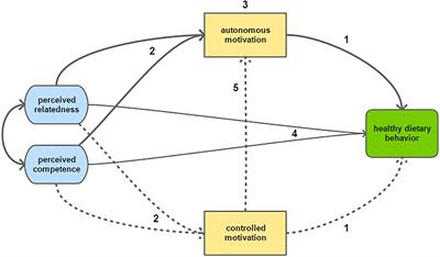 Testing a Self-Determination Theory Model of Healthy Eating in a South African Township